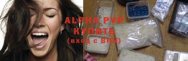 spice Богданович