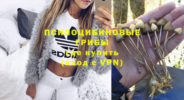 метадон Беломорск