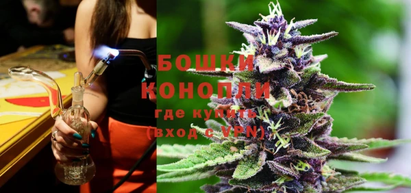 сатива Богородицк