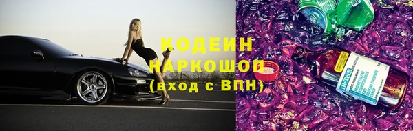spice Богданович