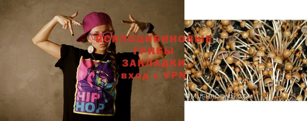 spice Богданович