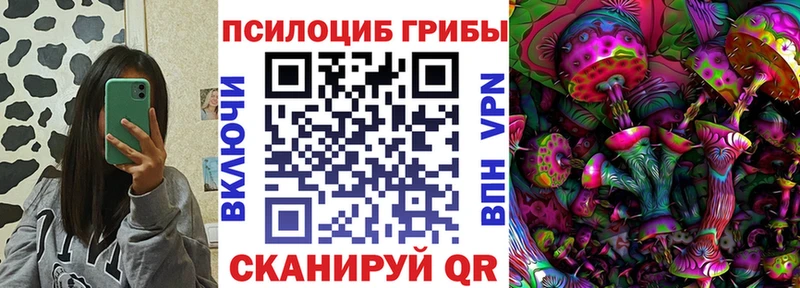 Галлюциногенные грибы мицелий сколько стоит hydra сайт Пыть-Ях